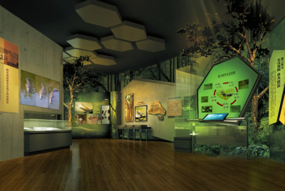 宣城扬子鳄博物馆